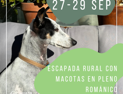 Escapada rural con mascotas en pleno románico