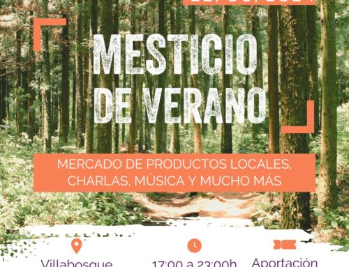 ¡Ven a celebrar el MESticio de verano!