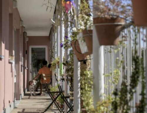 Nuevo edificio de la cooperativa de uso Entrepatios