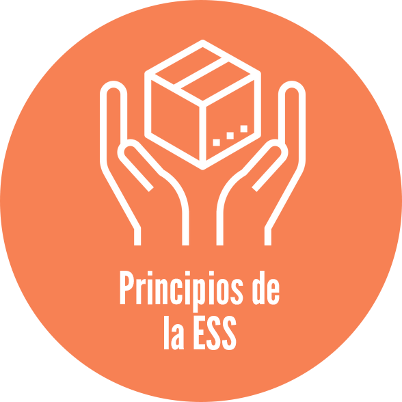 Principios de la ESS